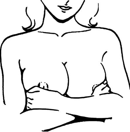 Tutorial of drawing a female body. Drawing the human body, step by step lessons. Female breast drawing tutorial. Drawing a woman's body with an emphasis on breasts.の写真素材