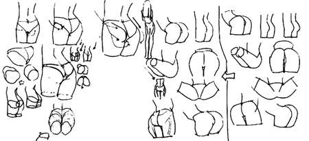 Tutorial of drawing a female body. Drawing the human body, step by step lessons.の写真素材