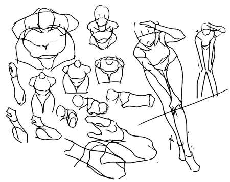 Tutorial of drawing a female body. Drawing the human body, step by step lessons.の写真素材