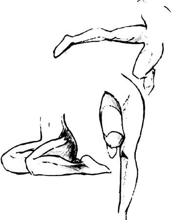 Tutorial of drawing a female body. Drawing the human body, step by step lessons.の写真素材