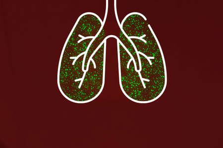 Lungs infected with coronavirus. Illustration of a person's lungs.の写真素材
