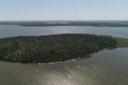 View from above on the coastal forest tundra. River and islands with taiga.の写真素材