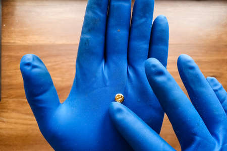 A small piece of gold in his hand with a glove. Mini nugget of gold.の写真素材