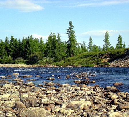 River in the taiga in northern Russia. The nature of the taiga in a mountainous area.