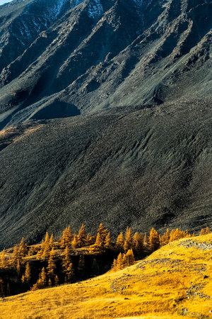 The altai mountains. The landscape of nature on the Altai mountains and in the gorges between the...