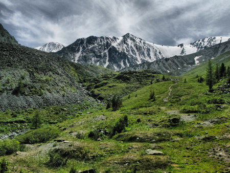 Nature is altai. Mountain landscape, forests and reservoirs of the altai.の写真素材