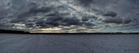 Winter and snow, pine tree by the road among snow and dry grass.の写真素材