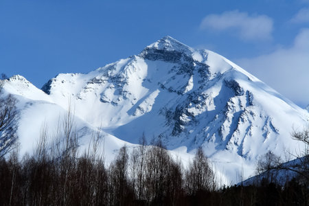 Taiga in the snow on baikal. Forest in winterの写真素材