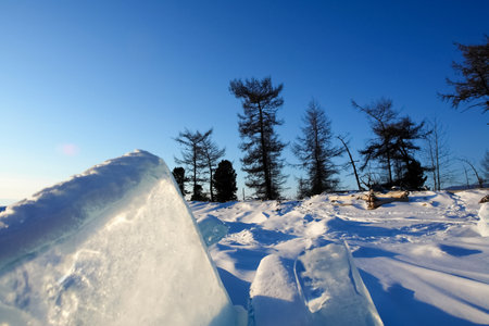 Taiga in the snow on baikal. Forest in winterの写真素材