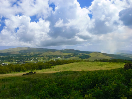 The nature of Easter Island, landscape, vegetation and coast.の写真素材