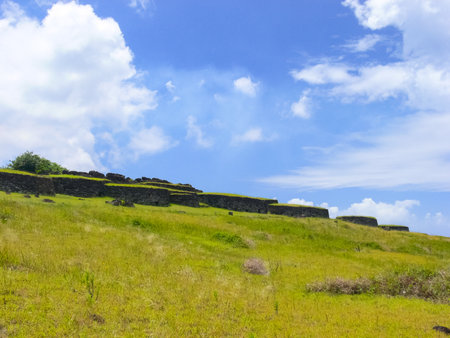 The nature of Easter Island, landscape, vegetation and coast.の写真素材
