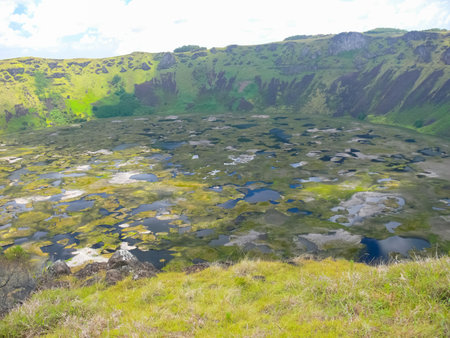 The nature of Easter Island, landscape, vegetation and coast.の写真素材