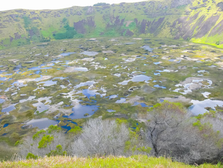 The nature of Easter Island, landscape, vegetation and coast.の写真素材