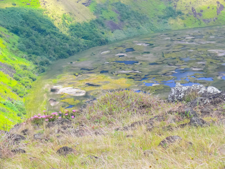 The nature of Easter Island, landscape, vegetation and coast.の写真素材