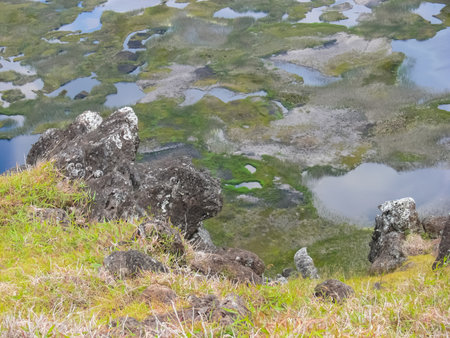 The nature of Easter Island, landscape, vegetation and coast.の写真素材