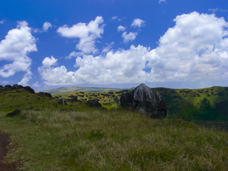 The nature of Easter Island, landscape, vegetation and coast.の写真素材