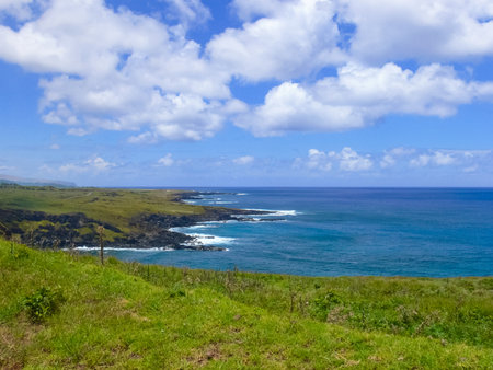 The nature of Easter Island, landscape, vegetation and coast.の写真素材