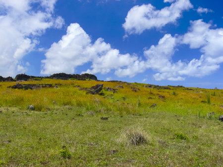 The nature of Easter Island, landscape, vegetation and coast.の写真素材