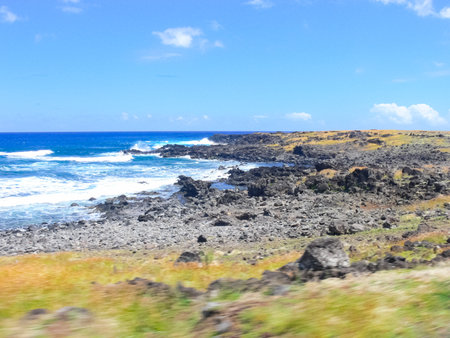 The nature of Easter Island, landscape, vegetation and coast.の写真素材