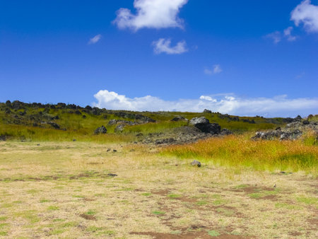 The nature of Easter Island, landscape, vegetation and coast.の写真素材