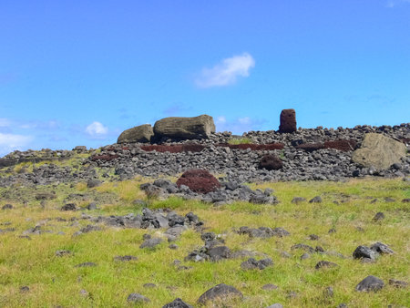 The nature of Easter Island, landscape, vegetation and coast.の写真素材