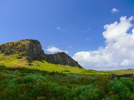 The nature of Easter Island, landscape, vegetation and coast.の写真素材