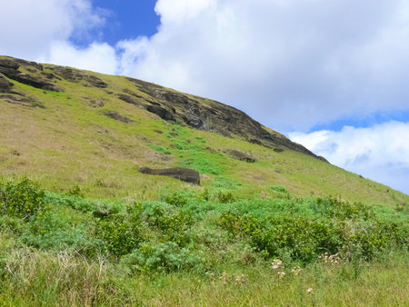 The nature of Easter Island, landscape, vegetation and coast.の写真素材