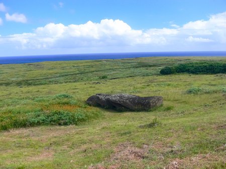 The nature of Easter Island, landscape, vegetation and coast.の写真素材