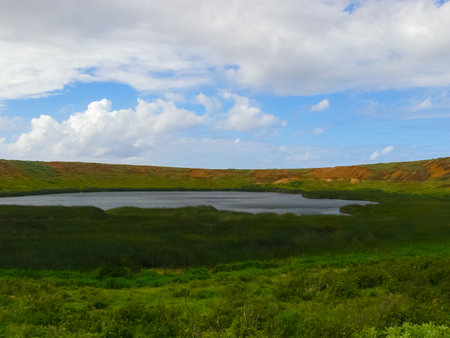 The nature of Easter Island, landscape, vegetation and coast.の写真素材
