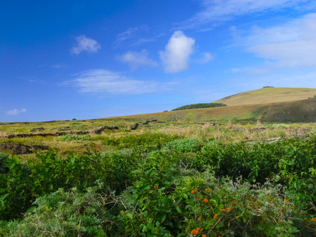 The nature of Easter Island, landscape, vegetation and coast.の写真素材