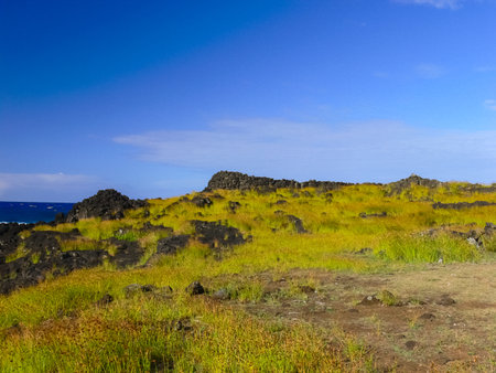 The nature of Easter Island, landscape, vegetation and coast.の写真素材