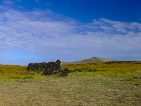 The nature of Easter Island, landscape, vegetation and coast.の写真素材