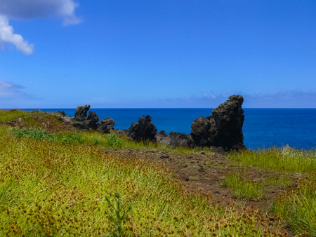 The nature of Easter Island, landscape, vegetation and coast.の写真素材
