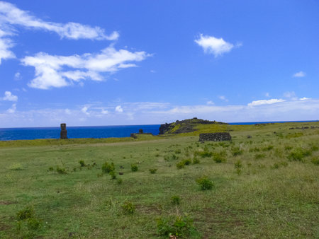 The nature of Easter Island, landscape, vegetation and coast.の写真素材