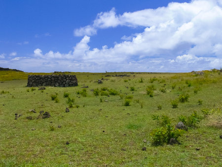 The nature of Easter Island, landscape, vegetation and coast.の写真素材