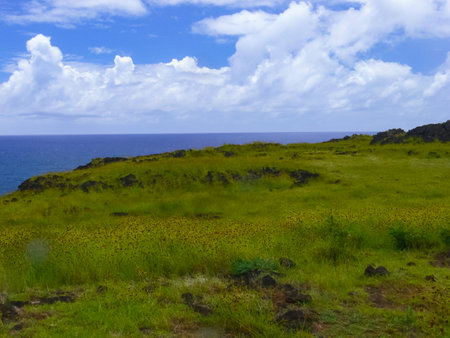 The nature of Easter Island, landscape, vegetation and coast.の写真素材