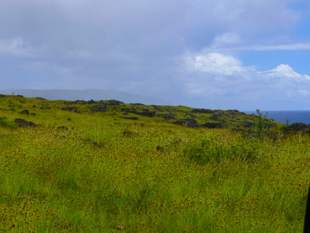 The nature of Easter Island, landscape, vegetation and coast.の写真素材