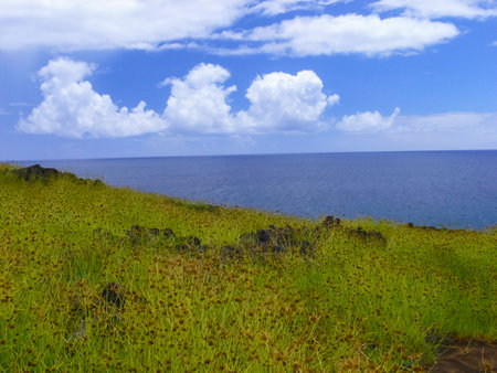 The nature of Easter Island, landscape, vegetation and coast.の写真素材