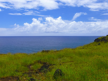 The nature of Easter Island, landscape, vegetation and coast.の写真素材