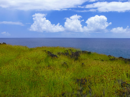 The nature of Easter Island, landscape, vegetation and coast.の写真素材