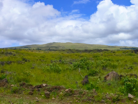 The nature of Easter Island, landscape, vegetation and coast.の写真素材