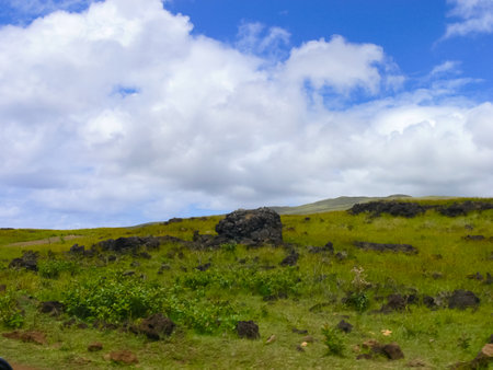 The nature of Easter Island, landscape, vegetation and coast.の写真素材