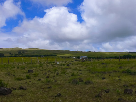 The nature of Easter Island, landscape, vegetation and coast.の写真素材