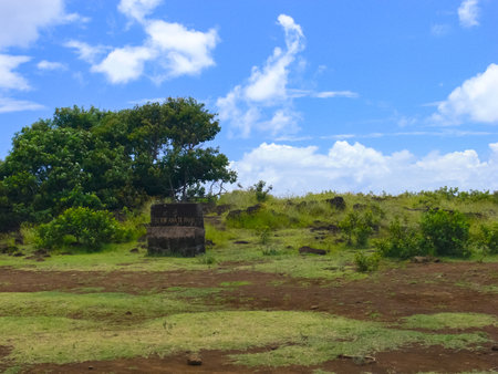 The nature of Easter Island, landscape, vegetation and coast.の写真素材