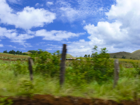 The nature of Easter Island, landscape, vegetation and coast.の写真素材