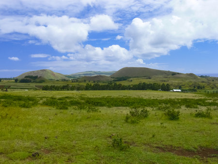 The nature of Easter Island, landscape, vegetation and coast.の写真素材
