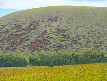 The nature of Easter Island, landscape, vegetation and coast.の写真素材