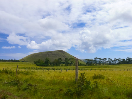 The nature of Easter Island, landscape, vegetation and coast.の写真素材
