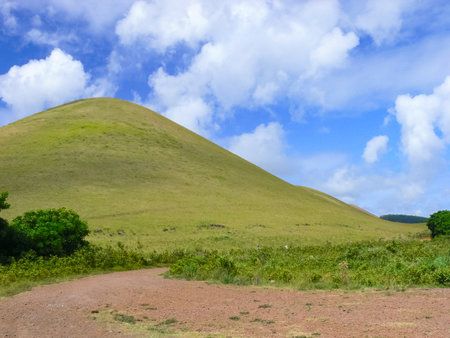 The nature of Easter Island, landscape, vegetation and coast.の写真素材