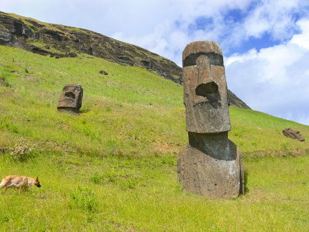 Statues of the gods of Easter Island. Ancient statues of ancient civilization on Easter Island.の写真素材